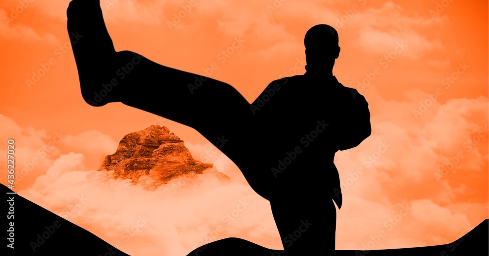 Canvas Prints Composition of silhouette of male martial artist over orange sky with sun setting