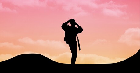 Composition of silhouette of male martial artist over pink sky with sun setting