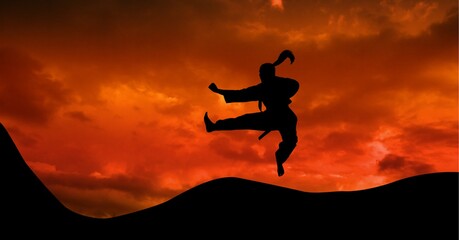 Composition of silhouette of female martial artist against orange sky with sun setting