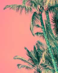 Pink background with green palm trees