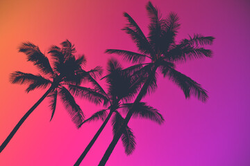 Fototapeta na wymiar Palm trees and neon pink and purple skies
