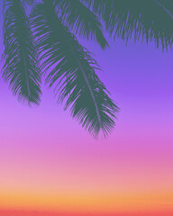 Fototapeta na wymiar Palm trees and purple skies