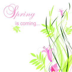 Flower Background  Card with beautiful leaves and flowers. Vector