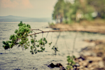 shift tilt landskape