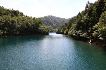 志賀高原の夏。志賀高原の夏。大沼池：志賀高原最大の沼
