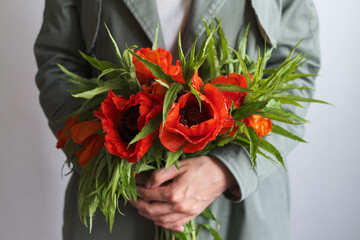A rich bouquet with poppies in the hands of a girl on a light background. The florist girl gathered a bouquet. Romantic festive bouquet. A holiday gift. Beautiful red flowers