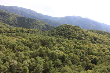 志賀高原の夏。ループ橋より。