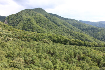 Fototapeta na wymiar 志賀高原の夏。信州の山並み