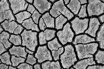 cracked dried earth