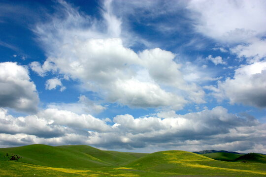 Rural hilly landscape, California, USA