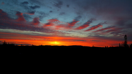 Fototapeta premium Fluffy cloudscape and dusk over forest silhouette