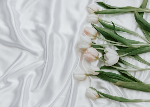 White tulips on silk tablecloth