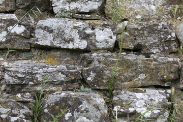 muro di pietre con muschio