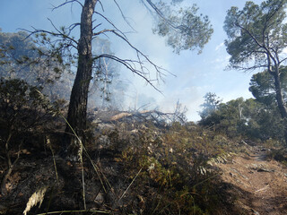 Incendio