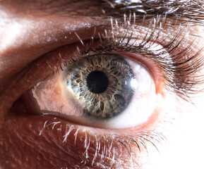 detailed blue eye macro