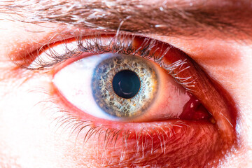 detailed blue eye macro