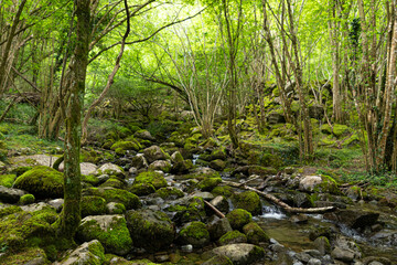 the waterfall of the source of the river asón