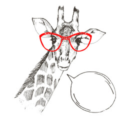 Hand drawn giraffe portrait with red glasses and speech bubble, isolated on white, vector illustration