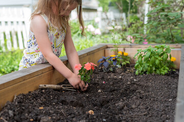 Cute little girl planting flowers in the garden