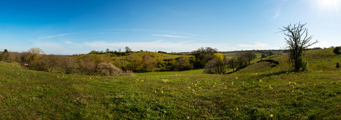 Beautiful day outdoors with sunshine and panorama view of countryside and agricultural landscape. Photo taken at the hills of Brosarp, a nature reserve and landmark in south of Sweden.