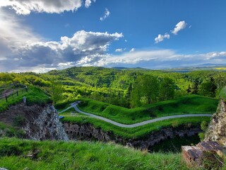Naklejka premium vineyard