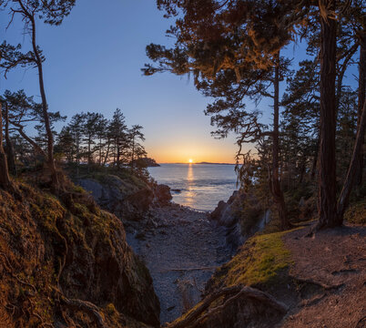 A sunset over the ocean viewed for a forested cove with tress on both sides of the image from Anacortes Island.