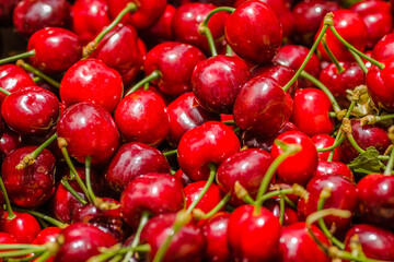 Picked, red, ripe cherry fruits in a wooden box, on a plantation in Novi Sad, Serbia-background.