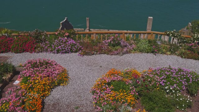 Sunny view of the flower garden on Alcatraz island