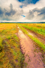 Rural road after rain with traces of tires, running through a field in the forest