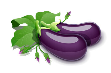 Eggplant. Vegetable food. Eps10 vector illustration. Isolated