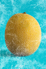 Cantaloupe yellow melon fruit splash on blue background