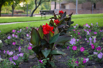 Red Flowers Park
