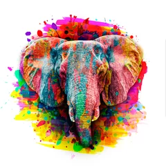 Wandcirkels plexiglas elephant with creative colorful abstract elements on light background © reznik_val