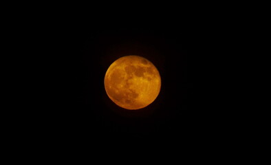 Super Blood Moon rising above Toronto, Ontario, Canada.  The super moon occurs when the moon is at its closest point to Earth. “Blood” refers to the red tinge of the moon due to a lunar eclipse occurr