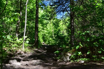 Park of the Doncaster river in southern Quebec