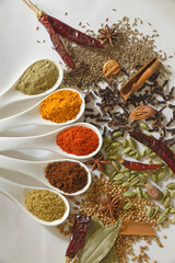 spices and herbs on white background