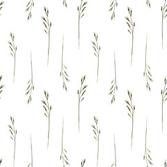 Watercolor seamless pattern with wild field herbs, wild grasses on a white background.