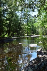 Park of the Doncaster river in southern Quebec