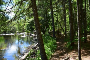 Park of the Doncaster river in southern Quebec