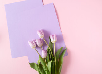 Creative flower romantic layout with negative space made of fresh tulips and velvet papers on the pastel pink background.