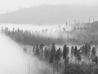 Badkamer foto achterwand Mistig bos Fog in Yosemite Valley