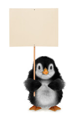 Cute little penguin baby with white banner isolated on white background. Funny animal concept photo