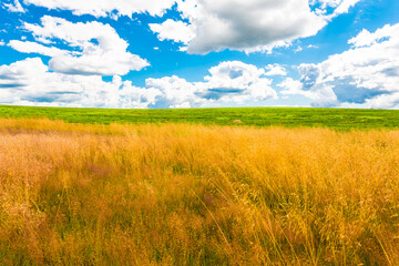 Cumulus clouds over a sunlit hilly fields in the forest