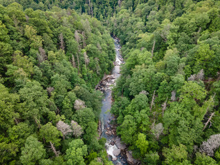 Drone View of River Gorge in Blue Ridge Mountains of North Carolina in the Summer