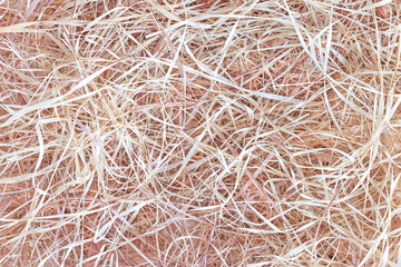 Abstract natural background of dried grass, hay or wood shaving, bast fiber. Natural environmental...