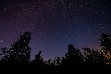 Silhouette of the forest in the night sky