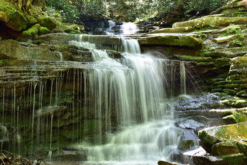 Naklejka na ściany i meble Waterfall in the Forest
