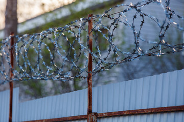 close-up view of barb wire over corrugated steel sheet fence