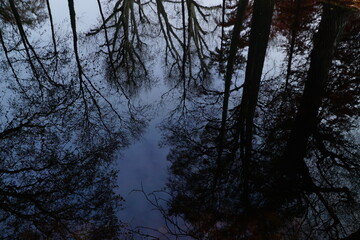 Spiegelungen auf dem Wasser