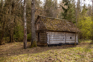 An old one-story log cabin in a green spring forest.
